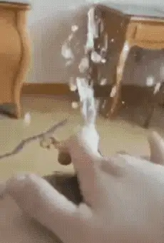 1000025243.gif
